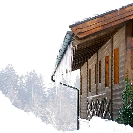 Ferienwohnung Hofleben Reiner Neukirchen vorm Wald Exterior photo